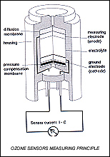 O3 sensor.jpg (33429 bytes)